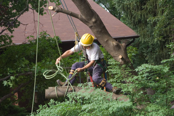 Landscape Design and Installation in Zillah, WA